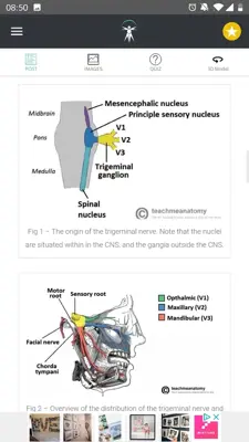 Teach Me Anatomy android App screenshot 2