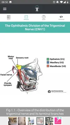 Teach Me Anatomy android App screenshot 3