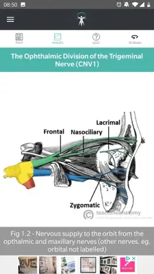 Teach Me Anatomy android App screenshot 4